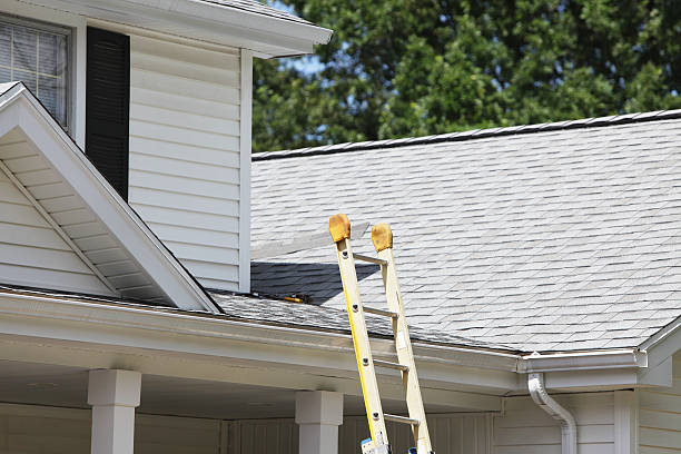 Best Vinyl Siding Installation  in Estes Park, CO